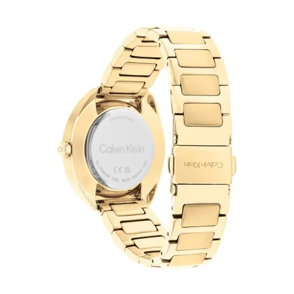 CALVIN KLEIN Mod. 25200276 25200276 finewatch eu 2