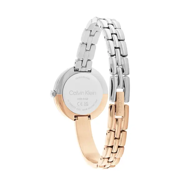 CALVIN KLEIN Mod. 25200281 25200281 finewatch eu 2