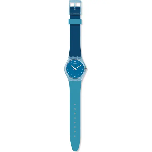 SWATCH Mod. FRAICHEUR GS161 finewatch eu 1